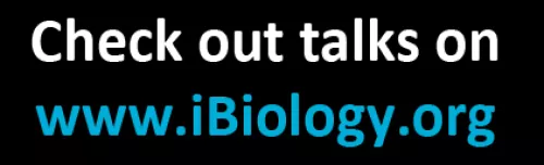 Check out talks block