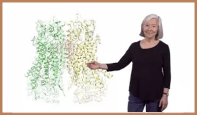Lily Jan talk2